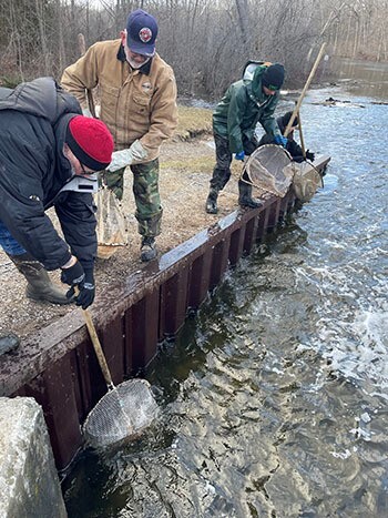 Large Trout Stocked In Huron River & Spring Mill Pond