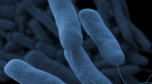 Testing Reveals Presence of Legionella Bacteria In Oakland County Sheriff’s Administration Building