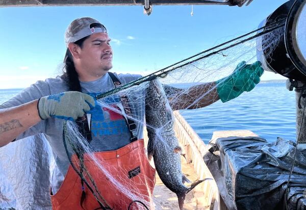 Whitefish Crash Has Michigan Fishers On The Brink: "It Makes You Want To Cry"