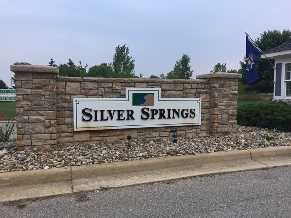 Handy Twp. Looking To Purchase Property Near Silver Springs
