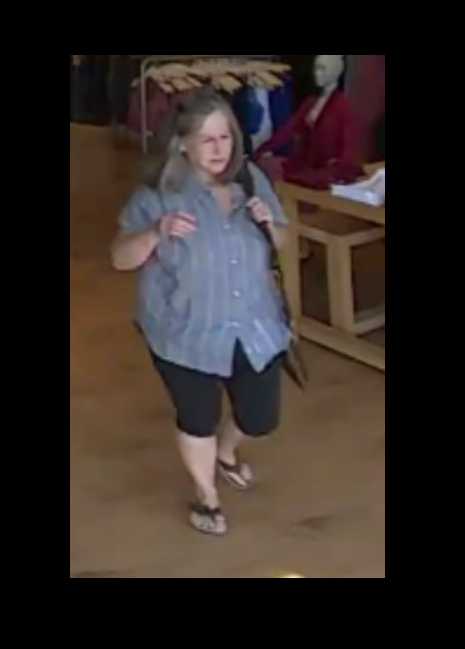 Athleta Shoplifter May be Suspect in Theft At Children's Store