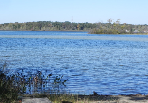 Hayner Lake Closed Due To Bacteria