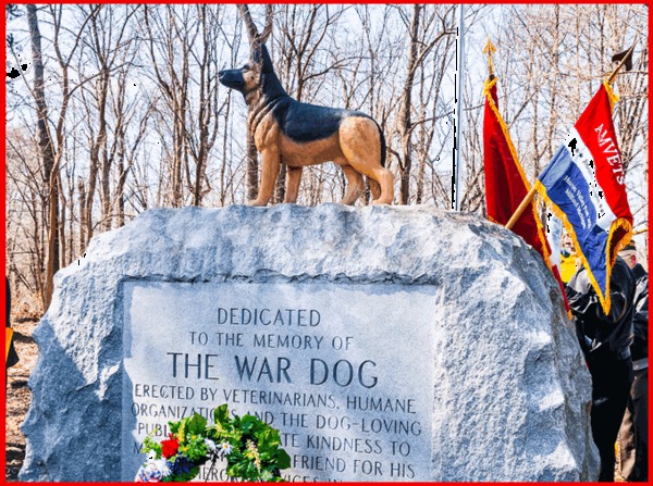 War Dog Memorial Fundraiser To Benefit Ceremonial Burials