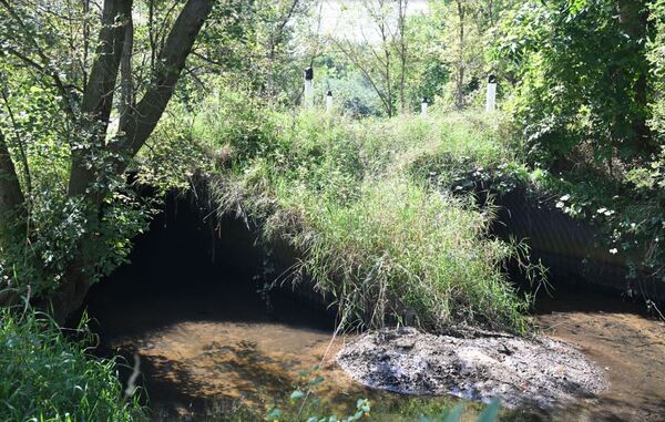 Road Closure For Bridge Replacement Project In Lyon Township