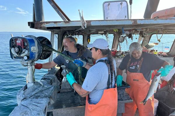 Whitefish Crash Has Michigan Fishers On The Brink: "It Makes You Want To Cry"
