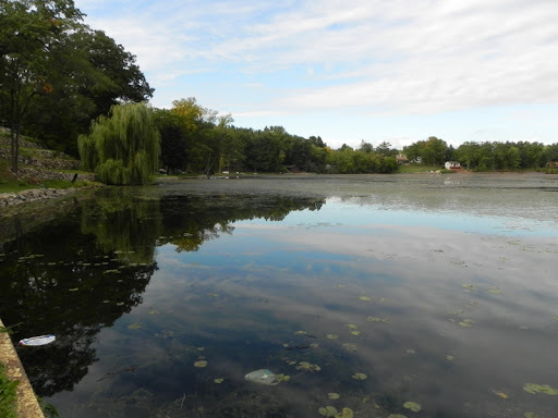 Green Oak Twp Working to Establish Special Assessment for Briggs Lake Weed Control