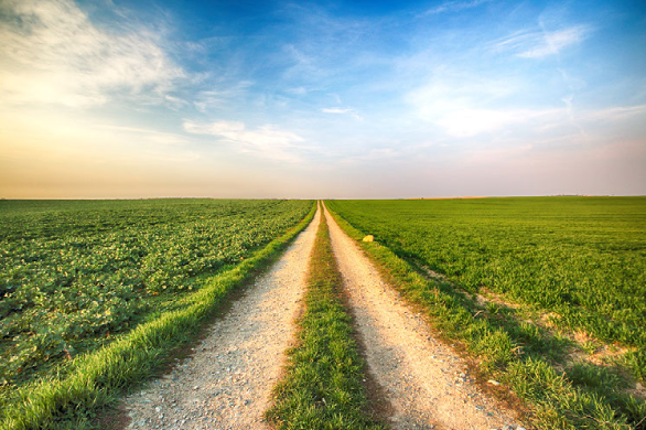 Grant Funding Awarded To Local Farmland Preservation Programs