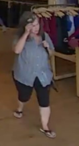 Green Oak Twp Police Ask for Help Identifying Shoplifting Suspect