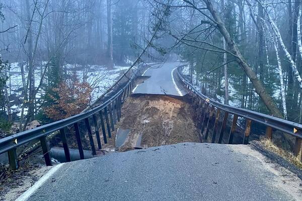 Section Of Famous "Tunnel Of Trees" Collapses