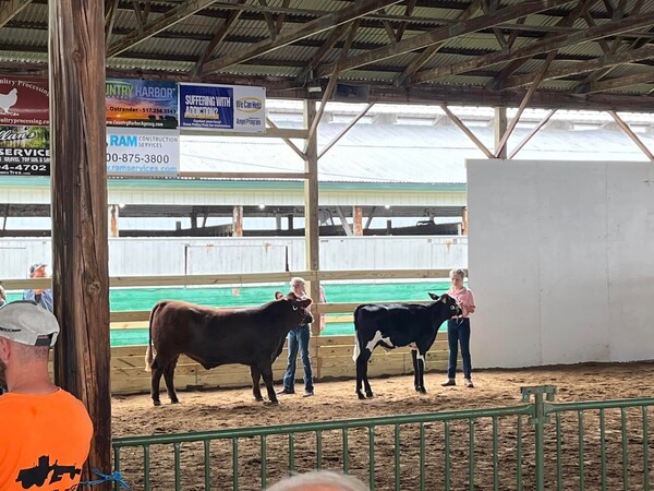 Livingston County 4H Clubs Big Part Of Fowlerville Family Fair