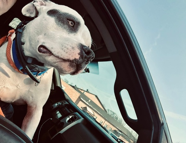 Community Rallies Around Fowlerville Couple, Son After Apartment Fire