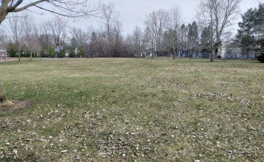 Boy Scout To Construct Gaga Ball Pit At West Street Park