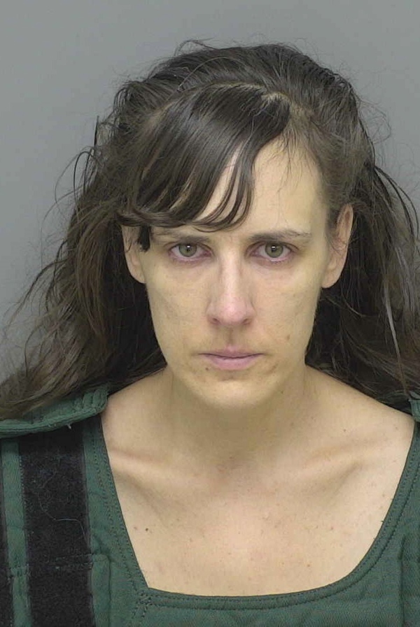 Fenton Woman Pleads Guilty By Insanity In Laundromat Stabbings