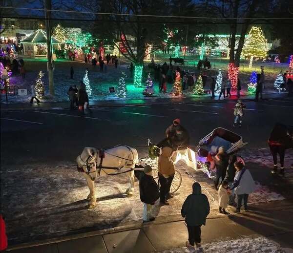 Sponsors, Community Support Sought For Pinckney's Light Up The Park