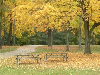 Volunteers Needed for Metroparks Photo & Video Shoot