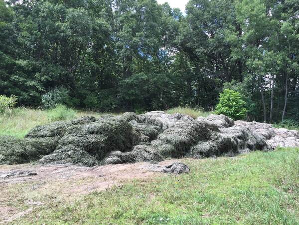 Aquatic Weed Harvesting Along Huron River In Hamburg