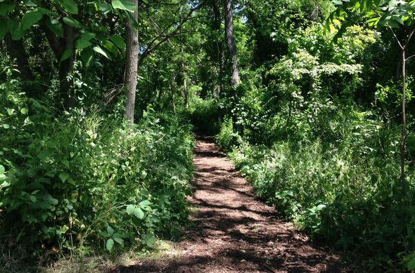 Parker Families Nature Preserve Trail Dedication Event This Weekend