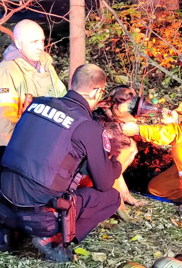 Two Arrested for Fire-Related Home Invasion In Hamburg Twp.