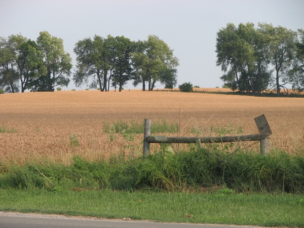 MI Farm Values Growing Faster Than National Rate Due to Demand for Development
