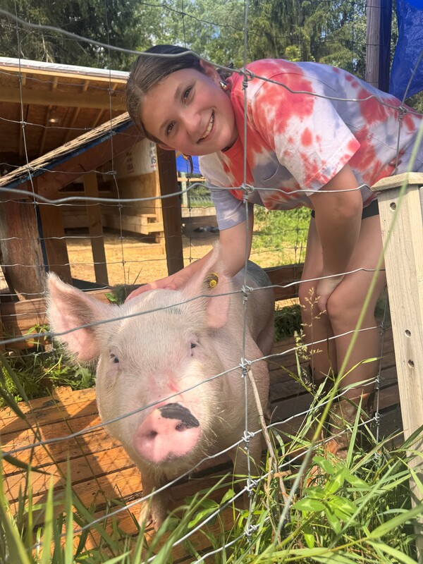 First Year Showing Pigs At Fowlerville Family Fair For Local 4-H Member