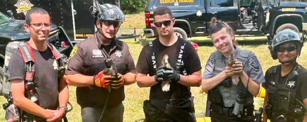 Oakland County Sheriff's Deputies Rescue Trapped Baby Ducks