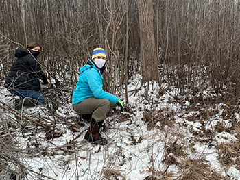 MDNR To Host State Park Volunteer Stewardship Workdays