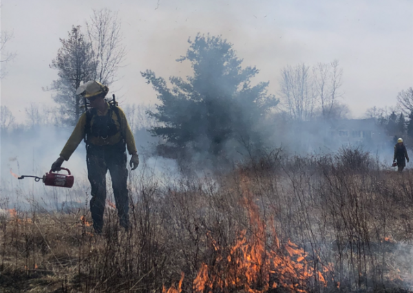 Successful Prescribed Burn At Kellogg Family Nature Preserve