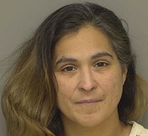 Lansing Woman Sentenced For Defrauding Genoa Man