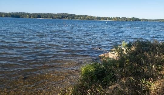 Possible Alligator Sighting at Kensington Metropark