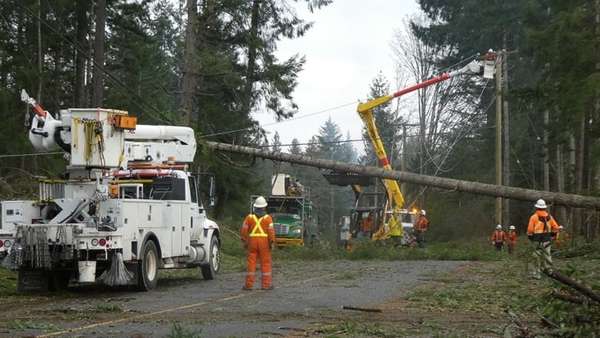 City of Brighton Offering Curbside Brush Pick Up After Storms