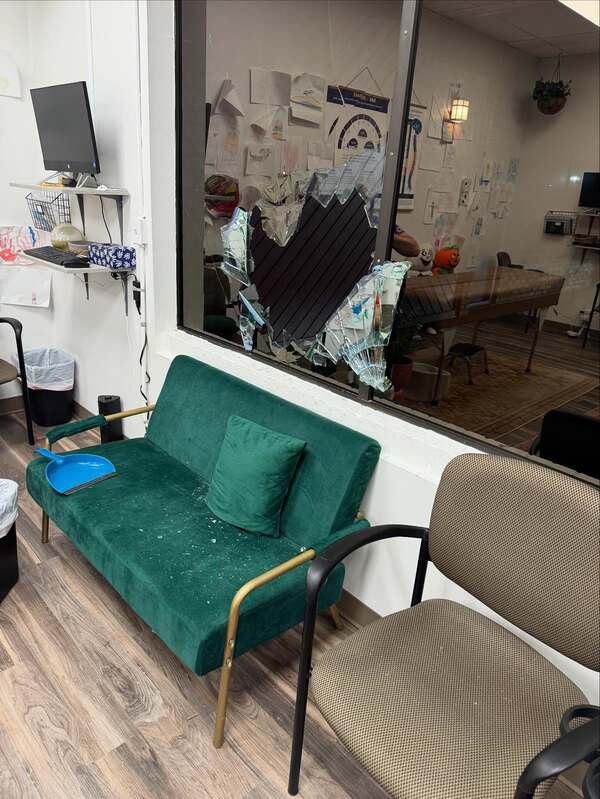 Deer Smashes Through Windows of South Lyon's Bloom Chiropractic