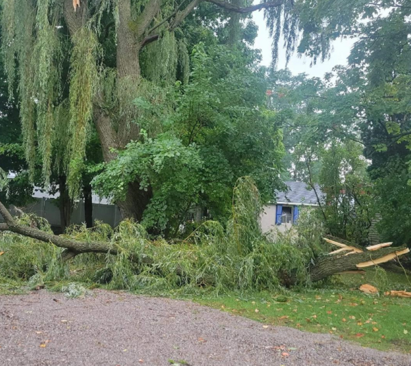 Emergency Manager: Crews Working Hard After Storms, Be Patient