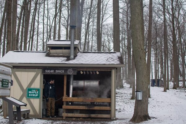 Maple Sugaring Month At Huron-Clinton Metroparks