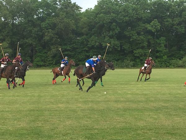 Hartland Chamber Of Commerce Holds 3rd Annual Polo Classic