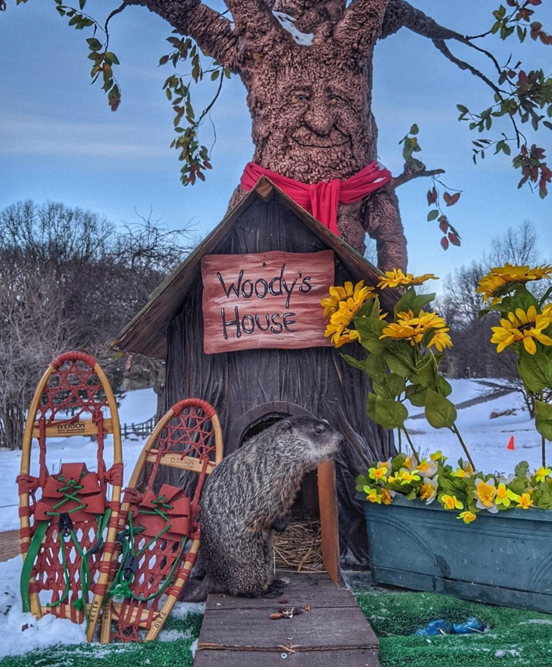 Groundhog Day Celebration At Howell Nature Center