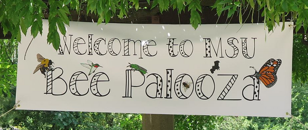 “Bee Kind” At Summer Bee Palooza 2026