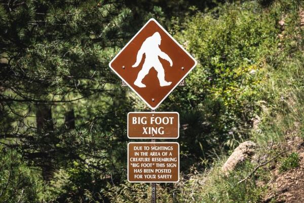 Bigfoot Encounter In Monroe Deemed "Credible"