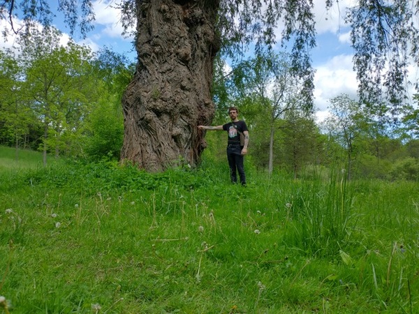 Join The Hunt For Michigan’s Biggest Trees
