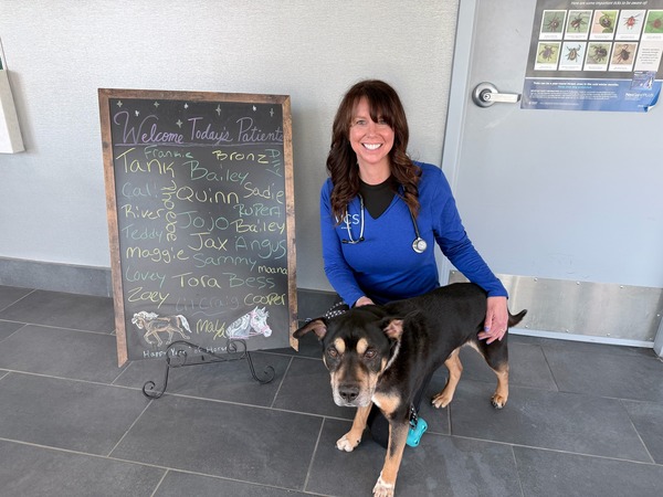 Milford Police Department's Lil' Craig To Undergo Surgery