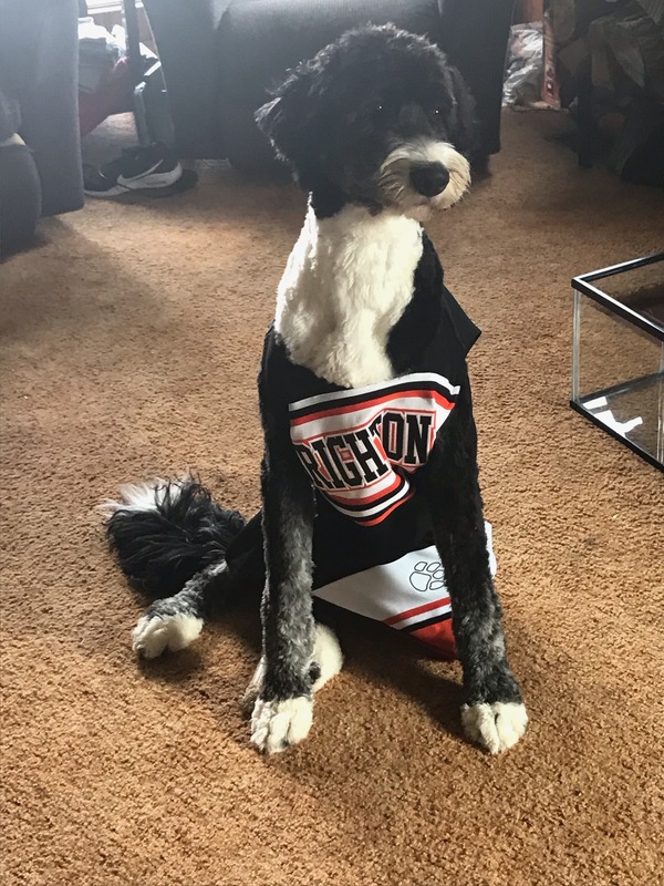 BAS Lends Therapy Dog To Grieving Grosse Pointe School