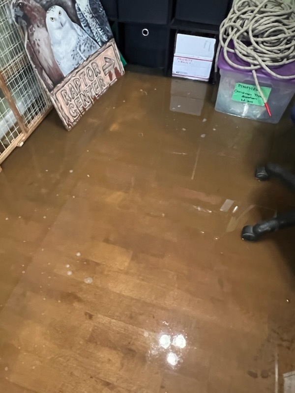 Hail Storm Causes Extensive Flooding At Howell Nature Center