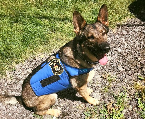 Argentine Police Create K9 Unit; Seek Donations