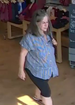 Athleta Shoplifter May be Suspect in Theft At Children's Store