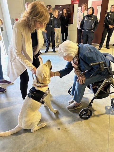 LCSO Welcomes Therapy Dog "Teddy"