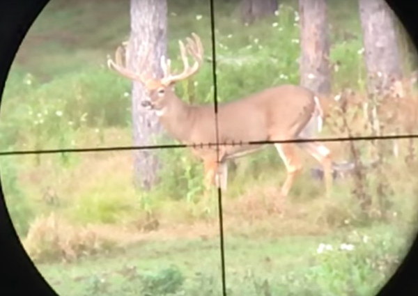 Firearm Deer Season Starts Today