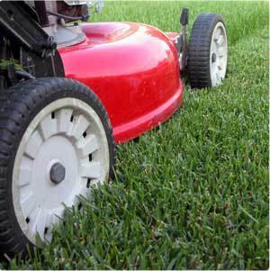 City Of Brighton Evaluating Summer Turf Maintenance & Snow Removal