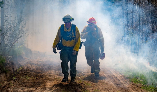 Michigan DNR Now Hiring Forestry Professionals & Firefighters