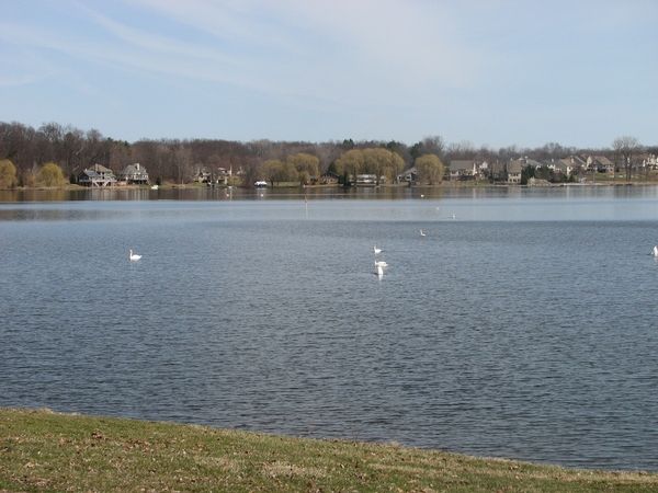 "Do Not Eat" Advisory Issued For Carp From Thompson Lake