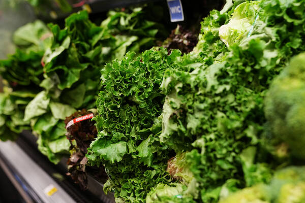 MDHHS Updates Guidance On Cyclosporiasis Outbreak Regarding Lettuce & Salad Greens