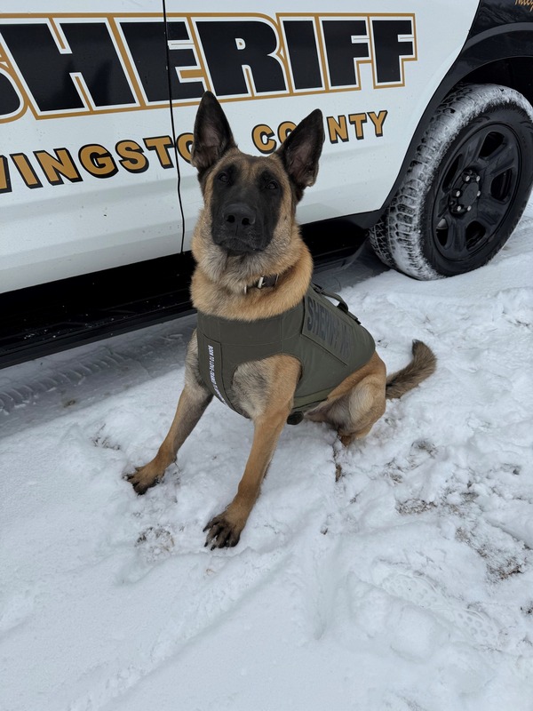 Livingston County Sheriff's K9 Receives Donated Body Armor